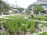 園内（2018年6月）