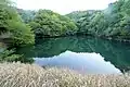 堀町川源流近くにある青笹池。土手の上から撮影