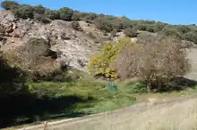ホルナのヘナレス川の源流。