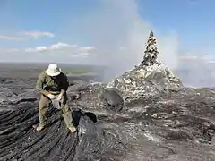 ホルニト