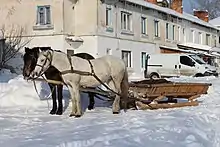 ソリ