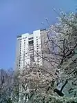 外濠の桜並木と共に