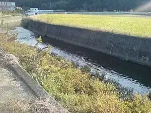 星河内谷川