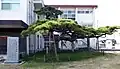 別子銅山口屋跡