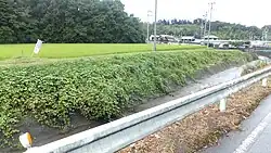 細目川（志染町細目にて）