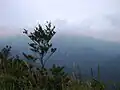 山頂から東の眺望好天なら毛無山が見えている