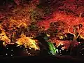 宝厳院(獅子吼の庭、獅子岩)