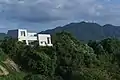 向洋の家