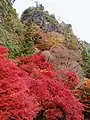 紅葉