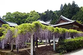 藤井寺
