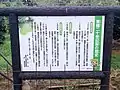 百年樹　看板。2019年8月23日撮影