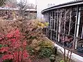 中庭