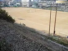 兵庫県立有馬高等学校のサッカー場/北側の崖