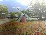 花と緑と風車