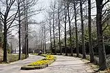 彫刻の道