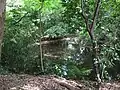 ひょうたん池