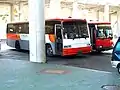 アジア・コスモスの隣に駐車しているエアロE