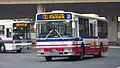路線バス（旧塗色復刻車）