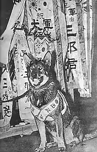 出征旗（出征者を祝賀する旗。画像は軍用犬）に描かれた軍旗の意匠の旭日旗
