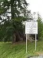 上スカギット族の保留地案内看板
