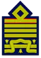 空軍大将階級章