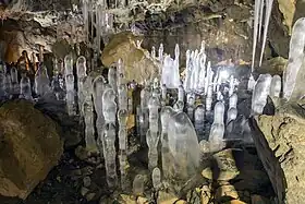 洞内の氷筍