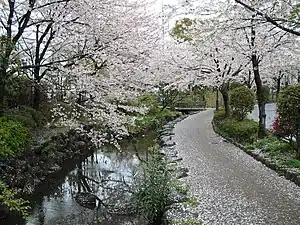 Ichinoe Sakaigawa Shinsui Park, -April 2007 a