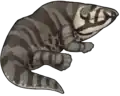 初期の四肢動物イクチオステガ