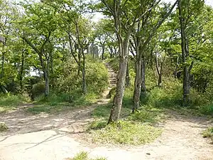 飯盛山城(主曲輪跡)