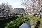 飯野川（藤岡飯野町、2019年（平成31年）4月）