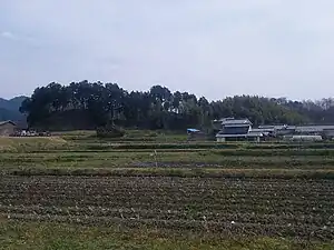 雷丘