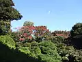 木に隠れているが、よく見ると周りは高層ビルに囲まれている（2007年11月）