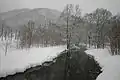 雪の池河内湿原
