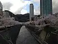 神若橋にて(上流を望む)