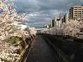 神若橋にて(下流を望む)