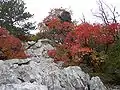 トリエステ県のカルスト