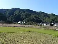 今富