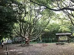 葦毛湿原の入口