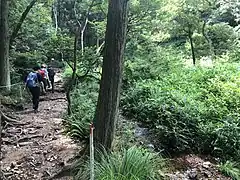 葦毛湿原付近の登山道