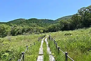 葦毛湿原と弓張山地(豊橋市)