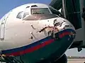 バードストライクで大きく破損した旅客機の機首。