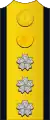 海軍大元帥の肩章