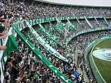 試合中のサポーター (2007年)