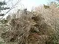 頂上は目前