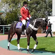 中京競馬場(イナズマタカオー)
