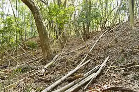 井辺八幡山古墳(井辺前山10号墳)