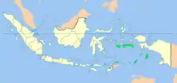 インドネシアのマルク州の位置の位置図
