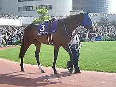 イングランディーレ（1999年産）