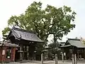 樹齢1000年（推定）の大楠は佐賀市の天然記念物に指定。