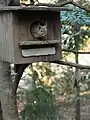 井の頭自然文化園
